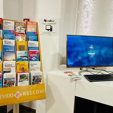 巴塞罗那迈洛青年旅馆 * 巴塞罗那