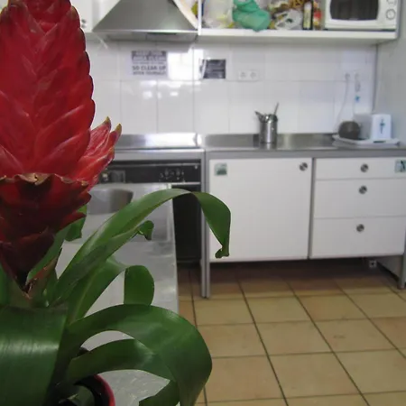 旅馆 巴塞罗那迈洛青年旅馆