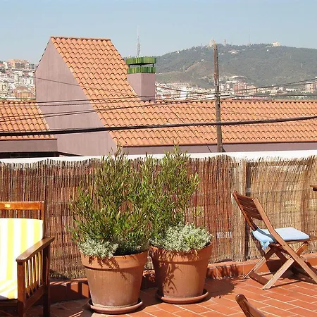 巴塞罗那迈洛青年旅馆 *